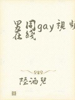 男同gay视频在线