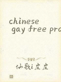 chinese gay free pron