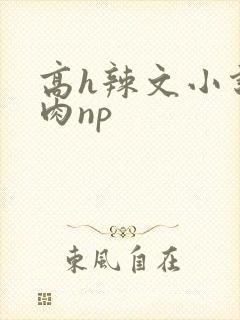 高h辣文小说纯肉np