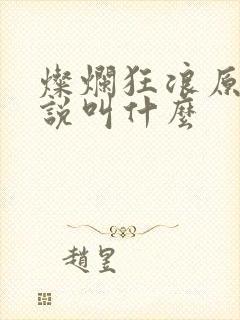 灿烂狂浪原著小说叫什么
