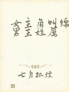 女主角叫绵绵,男主姓厉