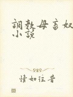 调教母畜奴隶的小说