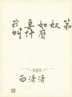 我妻如奴第二部叫什么
