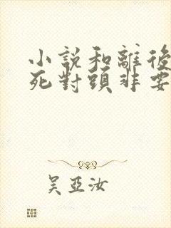 小说和离后前夫死对头非要娶我