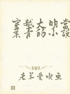 穿越大明当县令叶青的小说封面