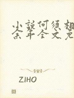 小说何须相思煮余年全文免费阅读