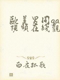 欧美男同gay视频在线观看