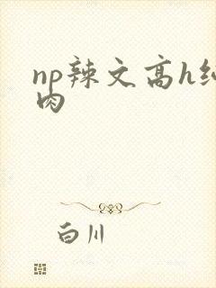 np辣文高h纯肉