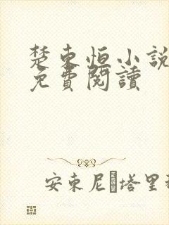 楚东恒小说正版免费阅读