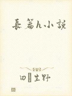 长篇h小说封面