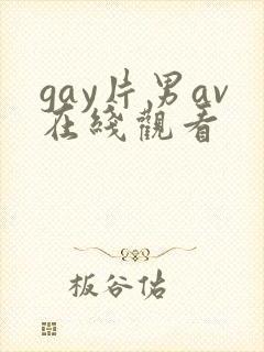 gay片男av在线观看