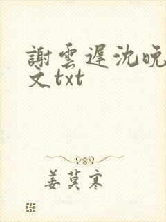 谢云迟沈晚梨全文txt封面