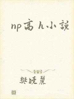 np高 h小说