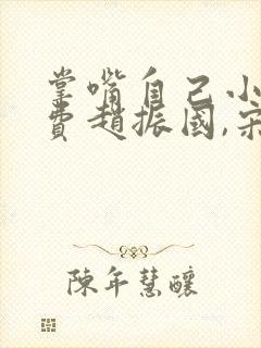 掌嘴自己小说免费赵振国,宋婉清