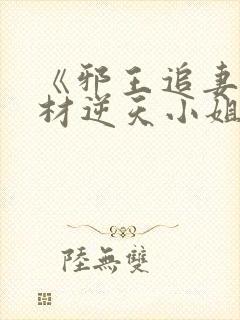 《邪王追妻:废材逆天小姐