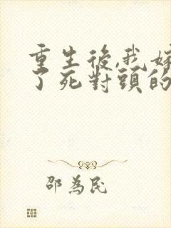 重生后,我嫁给了死对头的未婚夫全封面