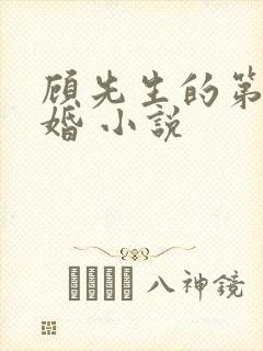 顾先生的第一宠婚 小说