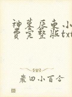 神墓辰东小说免费完整版txt