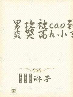 男攻被cao到爽哭高h小说