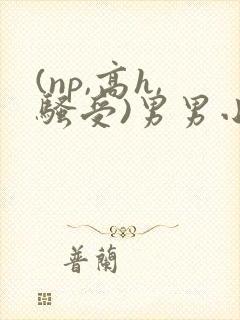 (np,高h,骚受)男男小说