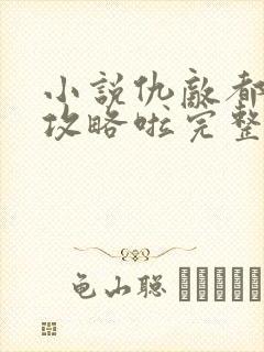 小说仇敌都被我攻略啦完整版未删减小说