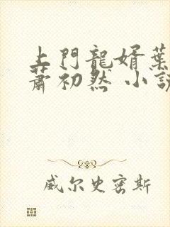 上门龙婿叶辰,萧初然 小说
