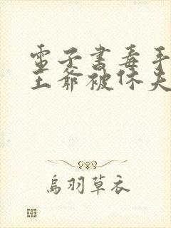 电子书毒手医妃王爷被休夫了封面