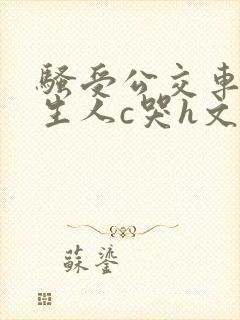骚受公交车被陌生人c哭h文