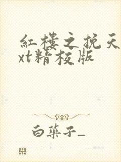 红楼之挽天倾txt精校版