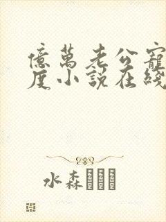 亿万老公宠妻无度小说在线阅读