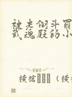 被光翎斗罗捡回武魂殿的小说
