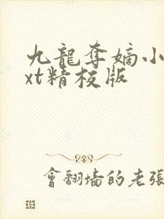 九龙夺嫡小说txt精校版
