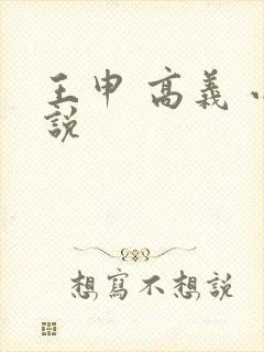 王申 高义 小说封面