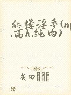 红楼淫梦(np,高h,纯肉)封面