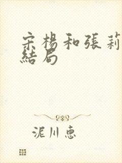 宋杨和张莉圆的结局