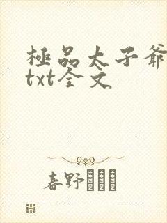 极品太子爷下载txt全文