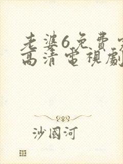 老婆6免费完整高清电视剧