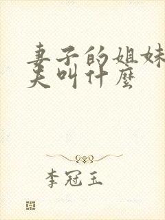 妻子的姐妹的丈夫叫什么