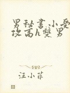 男秘书小受引诱攻高h双男