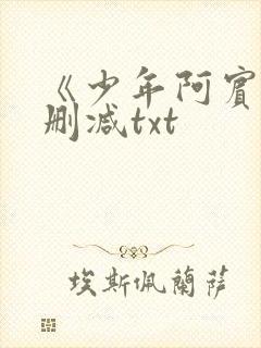 《少年阿宾》无删减txt