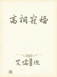 高调宠婚