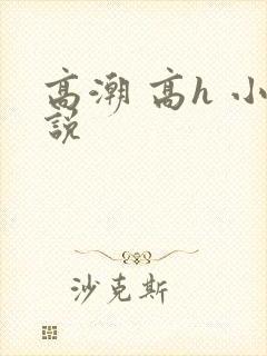 高潮 高h 小说