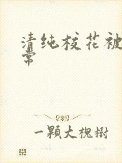 清纯校花被肉日常封面