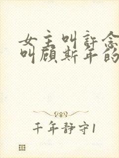 女主叫许念男主叫顾斯年的小说名字