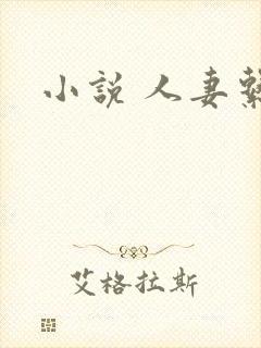 小说 人妻系列