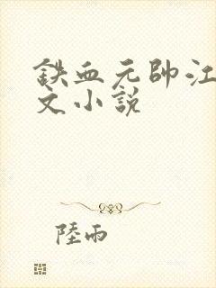 铁血元帅江天全文小说