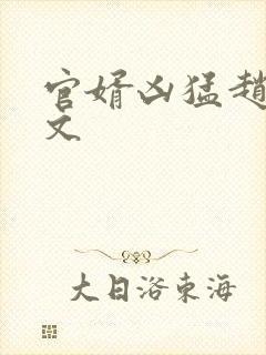 官婿凶猛赵阳全文封面