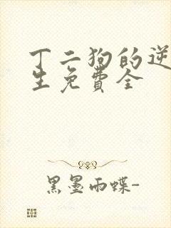 丁二狗的逆袭人生免费全