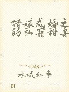 错嫁成婚之总裁的私宠甜妻全文阅读