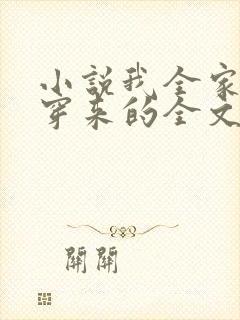 小说我全家都是穿来的全文